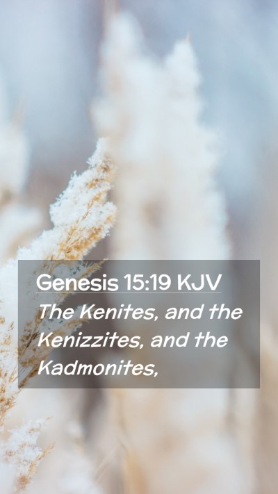 Picture 02 - Genesis 15:19 KJV Mobile Phone Wallpaper - The Kenites, and the Kenizzites, and the - Mobile Bible Verse Wallpaper