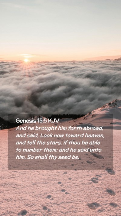 Picture 02 - Genesis 15:5 KJV Mobile Phone Wallpaper - And he brought him forth abroad, and said, Look - Mobile Bible Verse Wallpaper