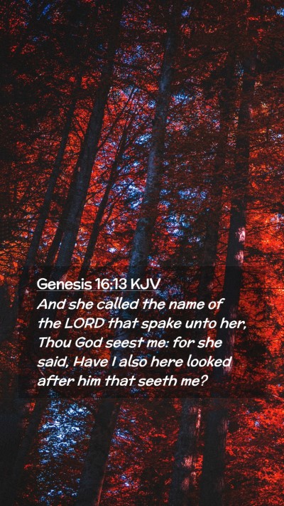 Picture 02 - Genesis 16:13 KJV Mobile Phone Wallpaper - And she called the name of the LORD that spake - Mobile Bible Verse Wallpaper