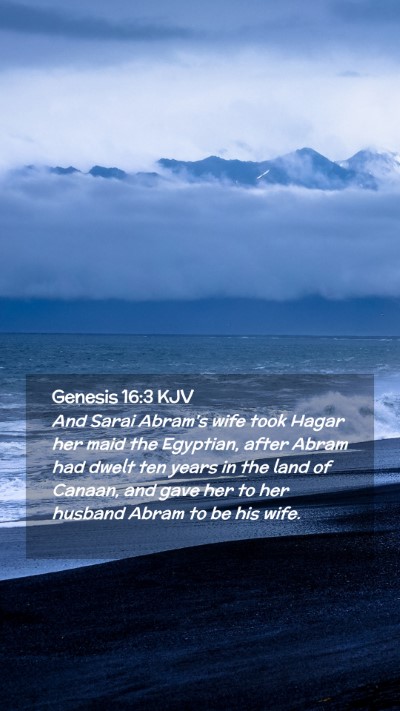 Picture 02 - Genesis 16:3 KJV Mobile Phone Wallpaper - And Sarai Abram's wife took Hagar her maid the - Mobile Bible Verse Wallpaper