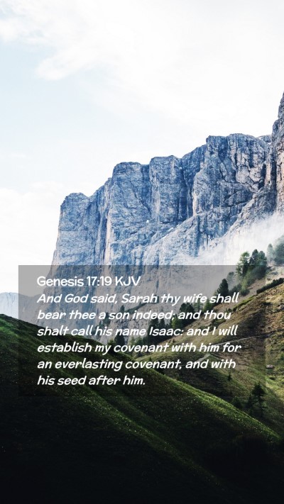Picture 02 - Genesis 17:19 KJV Mobile Phone Wallpaper - And God said, Sarah thy wife shall bear thee a - Mobile Bible Verse Wallpaper