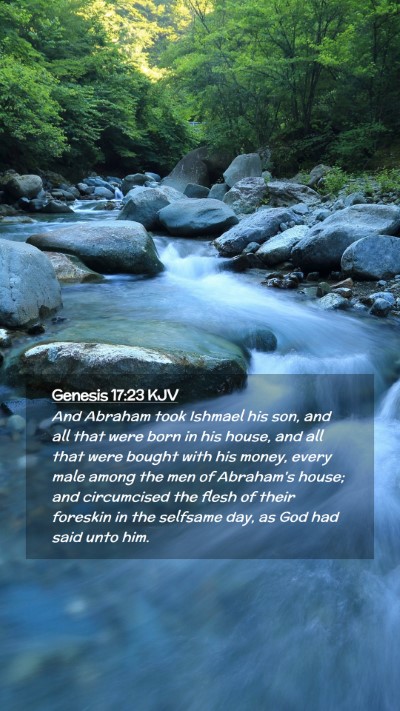 Picture 02 - Genesis 17:23 KJV Mobile Phone Wallpaper - And Abraham took Ishmael his son, and all that - Mobile Bible Verse Wallpaper