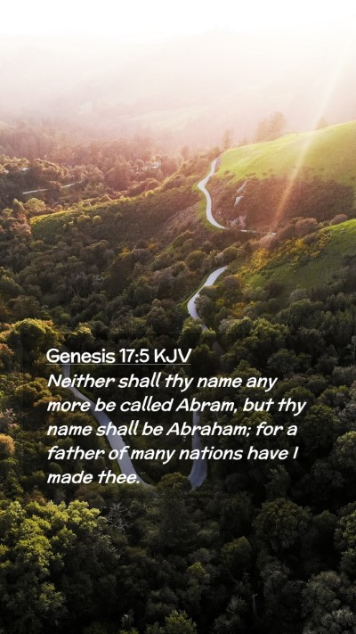 Picture 02 - Genesis 17:5 KJV Mobile Phone Wallpaper - Neither shall thy name any more be called Abram, - Mobile Bible Verse Wallpaper