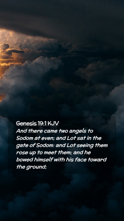 Picture 02 - Genesis 19:1 KJV Mobile Phone Wallpaper - And there came two angels to Sodom at even; and - Mobile Bible Verse Wallpaper