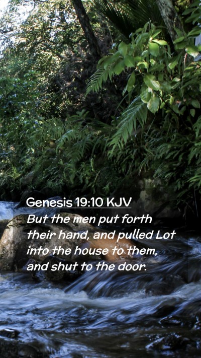 Picture 02 - Genesis 19:10 KJV Mobile Phone Wallpaper - But the men put forth their hand, and pulled Lot - Mobile Bible Verse Wallpaper