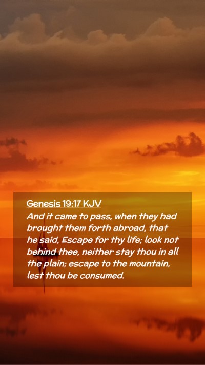 Picture 02 - Genesis 19:17 KJV Mobile Phone Wallpaper - And it came to pass, when they had brought them - Mobile Bible Verse Wallpaper