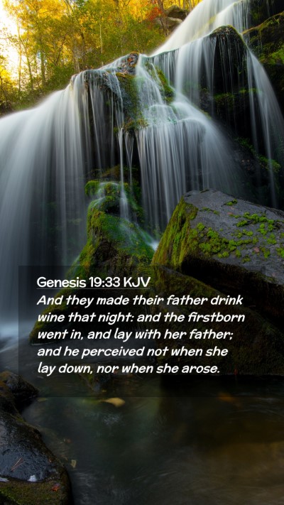 Picture 02 - Genesis 19:33 KJV Mobile Phone Wallpaper - And they made their father drink wine that night: - Mobile Bible Verse Wallpaper