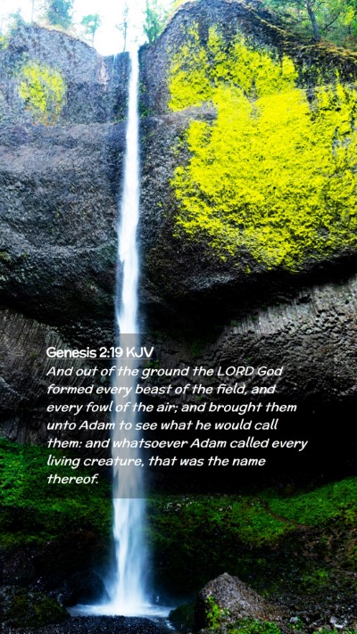 Picture 02 - Genesis 2:19 KJV Mobile Phone Wallpaper - And out of the ground the LORD God formed every - Mobile Bible Verse Wallpaper