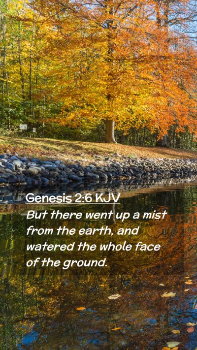 Picture 02 - Genesis 2:6 KJV Mobile Phone Wallpaper - But there went up a mist from the earth, and - Mobile Bible Verse Wallpaper