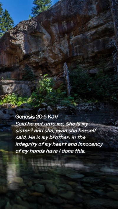 Picture 02 - Genesis 20:5 KJV Mobile Phone Wallpaper - Said he not unto me, She is my sister? and she, - Mobile Bible Verse Wallpaper