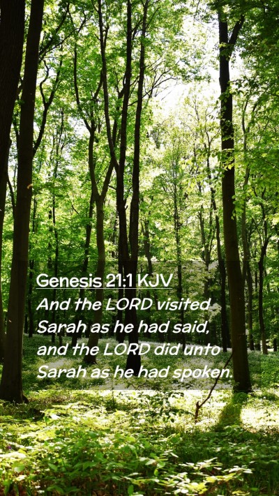 Picture 02 - Genesis 21:1 KJV Mobile Phone Wallpaper - And the LORD visited Sarah as he had said, and - Mobile Bible Verse Wallpaper