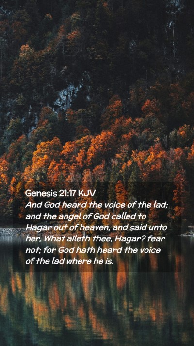 Picture 02 - Genesis 21:17 KJV Mobile Phone Wallpaper - And God heard the voice of the lad; and the angel - Mobile Bible Verse Wallpaper