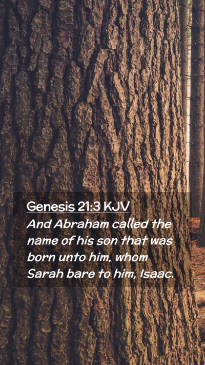 Picture 02 - Genesis 21:3 KJV Mobile Phone Wallpaper - And Abraham called the name of his son that was - Mobile Bible Verse Wallpaper