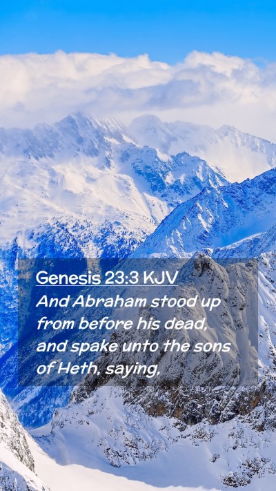 Picture 02 - Genesis 23:3 KJV Mobile Phone Wallpaper - And Abraham stood up from before his dead, and - Mobile Bible Verse Wallpaper