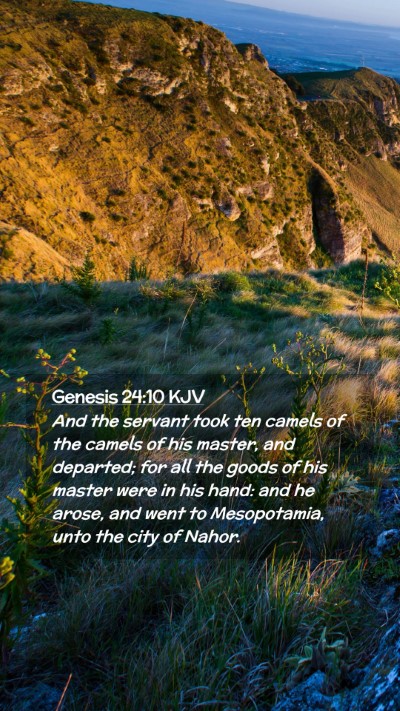 Picture 02 - Genesis 24:10 KJV Mobile Phone Wallpaper - And the servant took ten camels of the camels of - Mobile Bible Verse Wallpaper