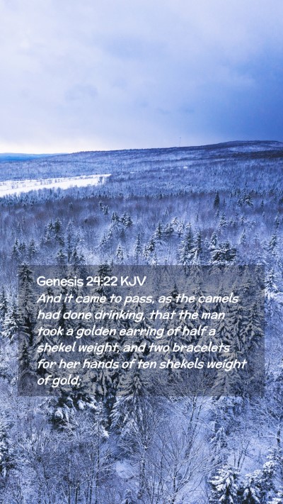 Picture 02 - Genesis 24:22 KJV Mobile Phone Wallpaper - And it came to pass, as the camels had done - Mobile Bible Verse Wallpaper