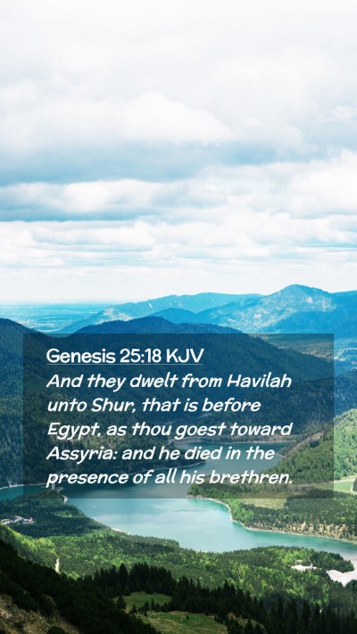 Picture 02 - Genesis 25:18 KJV Mobile Phone Wallpaper - And they dwelt from Havilah unto Shur, that is - Mobile Bible Verse Wallpaper