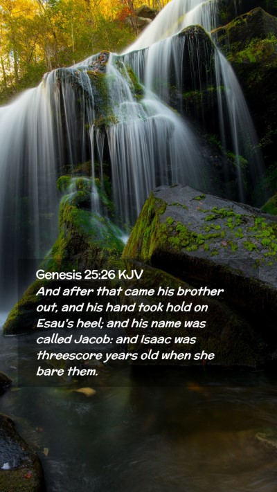 Picture 02 - Genesis 25:26 KJV Mobile Phone Wallpaper - And after that came his brother out, and his hand - Mobile Bible Verse Wallpaper