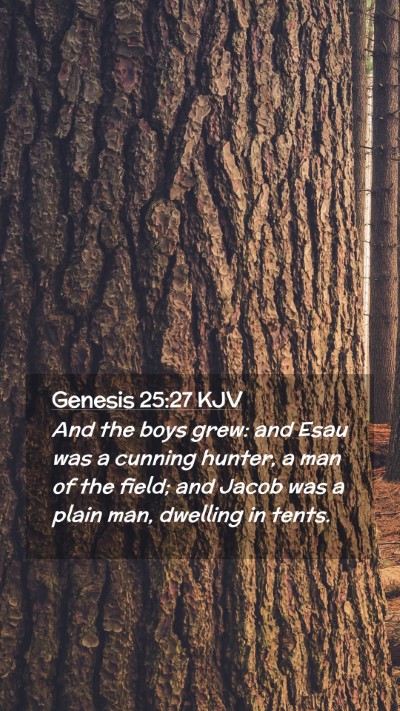 Picture 02 - Genesis 25:27 KJV Mobile Phone Wallpaper - And the boys grew: and Esau was a cunning hunter, - Mobile Bible Verse Wallpaper