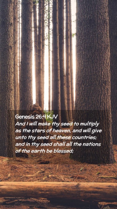 Picture 02 - Genesis 26:4 KJV Mobile Phone Wallpaper - And I will make thy seed to multiply as the stars - Mobile Bible Verse Wallpaper