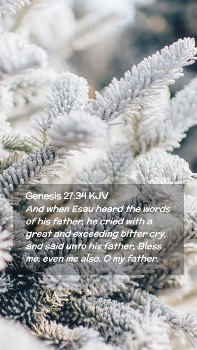 Picture 02 - Genesis 27:34 KJV Mobile Phone Wallpaper - And when Esau heard the words of his father, he - Mobile Bible Verse Wallpaper