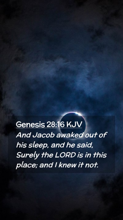 Picture 02 - Genesis 28:16 KJV Mobile Phone Wallpaper - And Jacob awaked out of his sleep, and he said, - Mobile Bible Verse Wallpaper