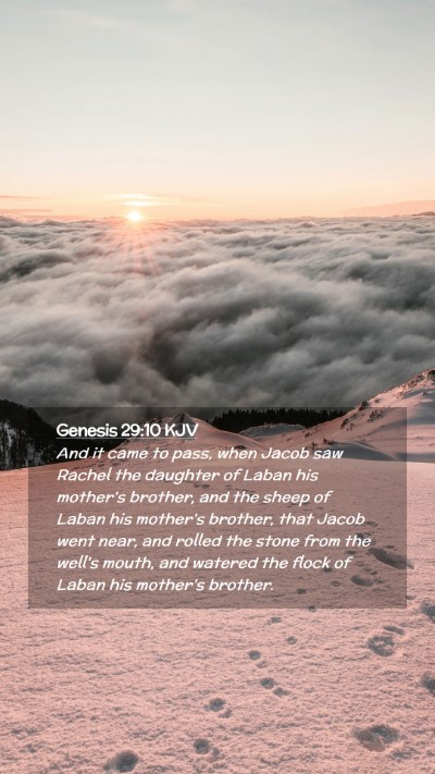 Picture 02 - Genesis 29:10 KJV Mobile Phone Wallpaper - And it came to pass, when Jacob saw Rachel the - Mobile Bible Verse Wallpaper