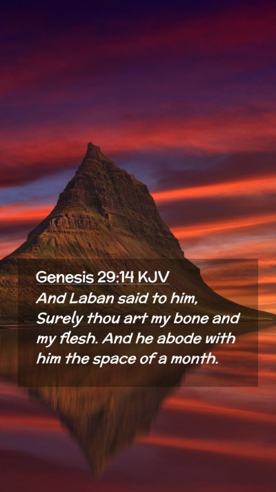 Picture 02 - Genesis 29:14 KJV Mobile Phone Wallpaper - And Laban said to him, Surely thou art my bone - Mobile Bible Verse Wallpaper