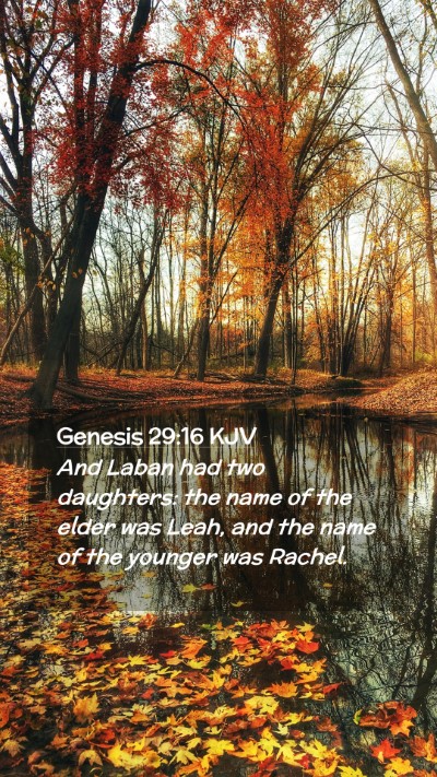 Picture 02 - Genesis 29:16 KJV Mobile Phone Wallpaper - And Laban had two daughters: the name of the - Mobile Bible Verse Wallpaper