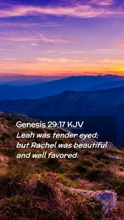 Picture 02 - Genesis 29:17 KJV Mobile Phone Wallpaper - Leah was tender eyed; but Rachel was beautiful - Mobile Bible Verse Wallpaper