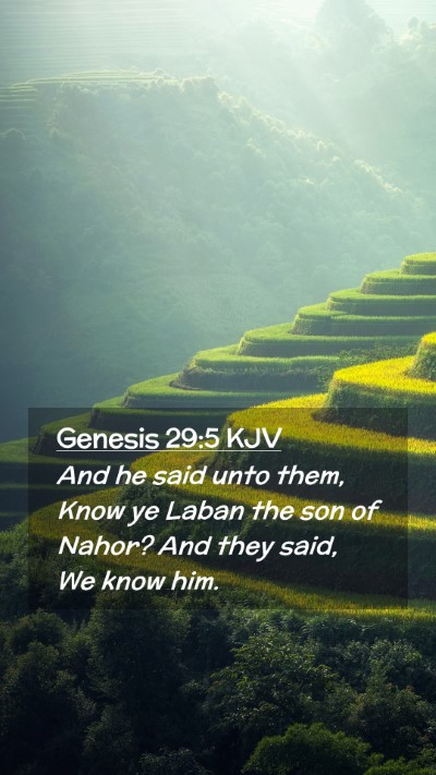 Picture 02 - Genesis 29:5 KJV Mobile Phone Wallpaper - And he said unto them, Know ye Laban the son of - Mobile Bible Verse Wallpaper
