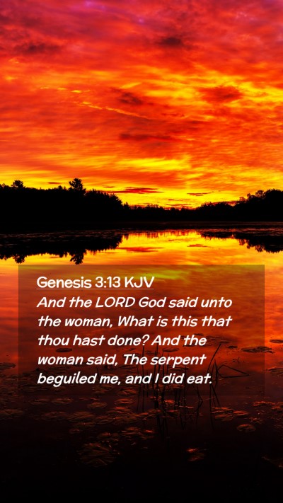 Picture 02 - Genesis 3:13 KJV Mobile Phone Wallpaper - And the LORD God said unto the woman, What is - Mobile Bible Verse Wallpaper