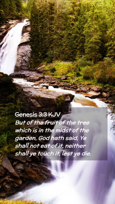Picture 02 - Genesis 3:3 KJV Mobile Phone Wallpaper - But of the fruit of the tree which is in the - Mobile Bible Verse Wallpaper