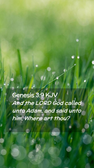 Picture 02 - Genesis 3:9 KJV Mobile Phone Wallpaper - And the LORD God called unto Adam, and said unto - Mobile Bible Verse Wallpaper