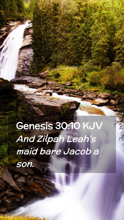 Picture 02 - Genesis 30:10 KJV Mobile Phone Wallpaper - And Zilpah Leah's maid bare Jacob a - Mobile Bible Verse Wallpaper