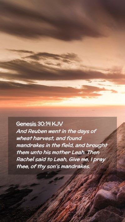 Picture 02 - Genesis 30:14 KJV Mobile Phone Wallpaper - And Reuben went in the days of wheat harvest, and - Mobile Bible Verse Wallpaper