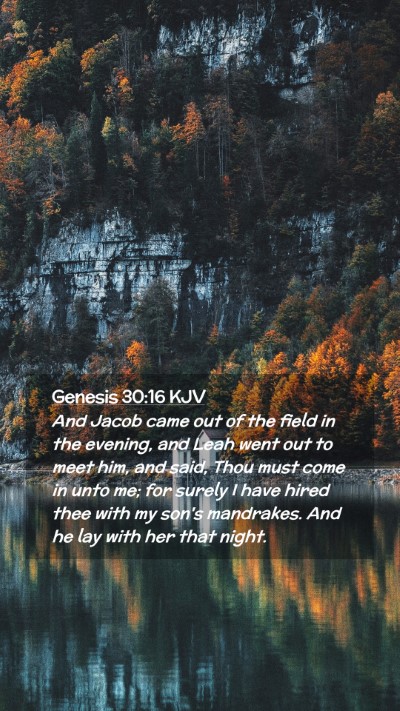 Picture 02 - Genesis 30:16 KJV Mobile Phone Wallpaper - And Jacob came out of the field in the evening, - Mobile Bible Verse Wallpaper