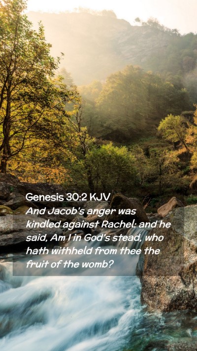Picture 02 - Genesis 30:2 KJV Mobile Phone Wallpaper - And Jacob's anger was kindled against Rachel: and - Mobile Bible Verse Wallpaper