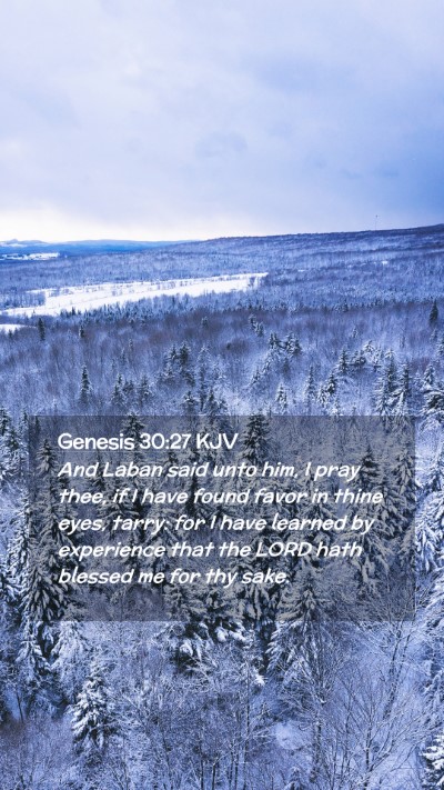 Picture 02 - Genesis 30:27 KJV Mobile Phone Wallpaper - And Laban said unto him, I pray thee, if I have - Mobile Bible Verse Wallpaper