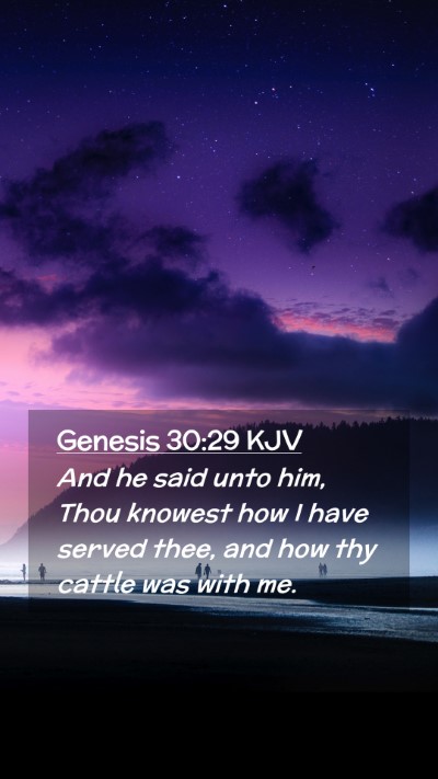 Picture 02 - Genesis 30:29 KJV Mobile Phone Wallpaper - And he said unto him, Thou knowest how I have - Mobile Bible Verse Wallpaper