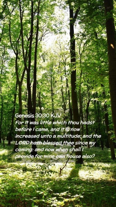Picture 02 - Genesis 30:30 KJV Mobile Phone Wallpaper - For it was little which thou hadst before I came, - Mobile Bible Verse Wallpaper