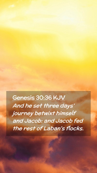 Picture 02 - Genesis 30:36 KJV Mobile Phone Wallpaper - And he set three days' journey betwixt himself - Mobile Bible Verse Wallpaper