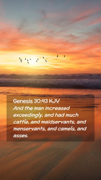 Picture 02 - Genesis 30:43 KJV Mobile Phone Wallpaper - And the man increased exceedingly, and had much - Mobile Bible Verse Wallpaper