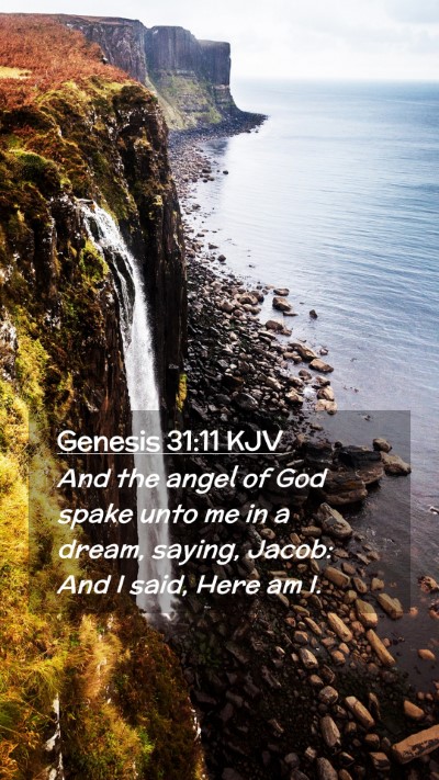 Picture 02 - Genesis 31:11 KJV Mobile Phone Wallpaper - And the angel of God spake unto me in a dream, - Mobile Bible Verse Wallpaper