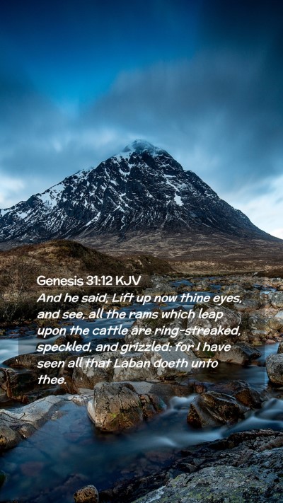 Picture 02 - Genesis 31:12 KJV Mobile Phone Wallpaper - And he said, Lift up now thine eyes, and see, all - Mobile Bible Verse Wallpaper