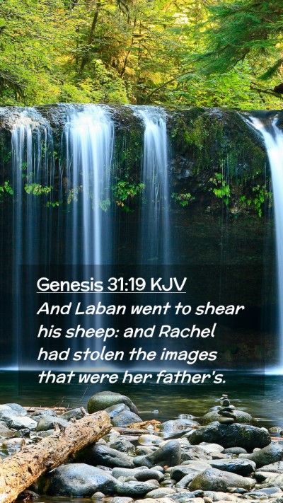 Picture 02 - Genesis 31:19 KJV Mobile Phone Wallpaper - And Laban went to shear his sheep: and Rachel had - Mobile Bible Verse Wallpaper