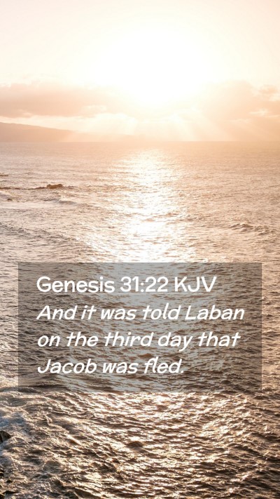Picture 02 - Genesis 31:22 KJV Mobile Phone Wallpaper - And it was told Laban on the third day that Jacob - Mobile Bible Verse Wallpaper