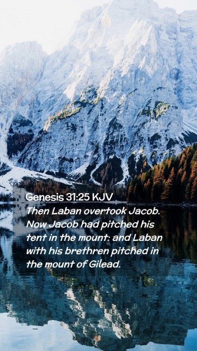 Picture 02 - Genesis 31:25 KJV Mobile Phone Wallpaper - Then Laban overtook Jacob. Now Jacob had pitched - Mobile Bible Verse Wallpaper