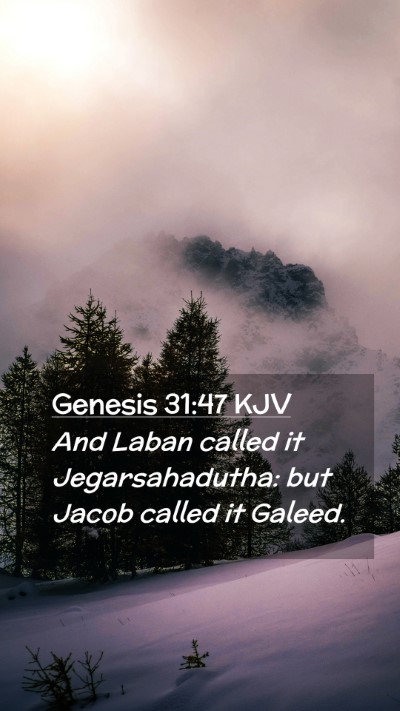 Picture 02 - Genesis 31:47 KJV Mobile Phone Wallpaper - And Laban called it Jegarsahadutha: but Jacob - Mobile Bible Verse Wallpaper