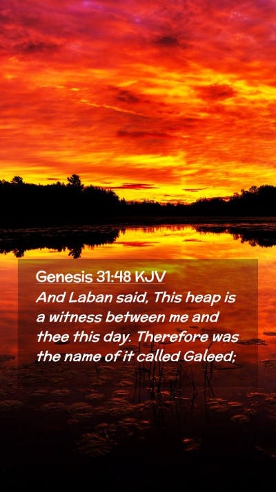 Picture 02 - Genesis 31:48 KJV Mobile Phone Wallpaper - And Laban said, This heap is a witness between me - Mobile Bible Verse Wallpaper